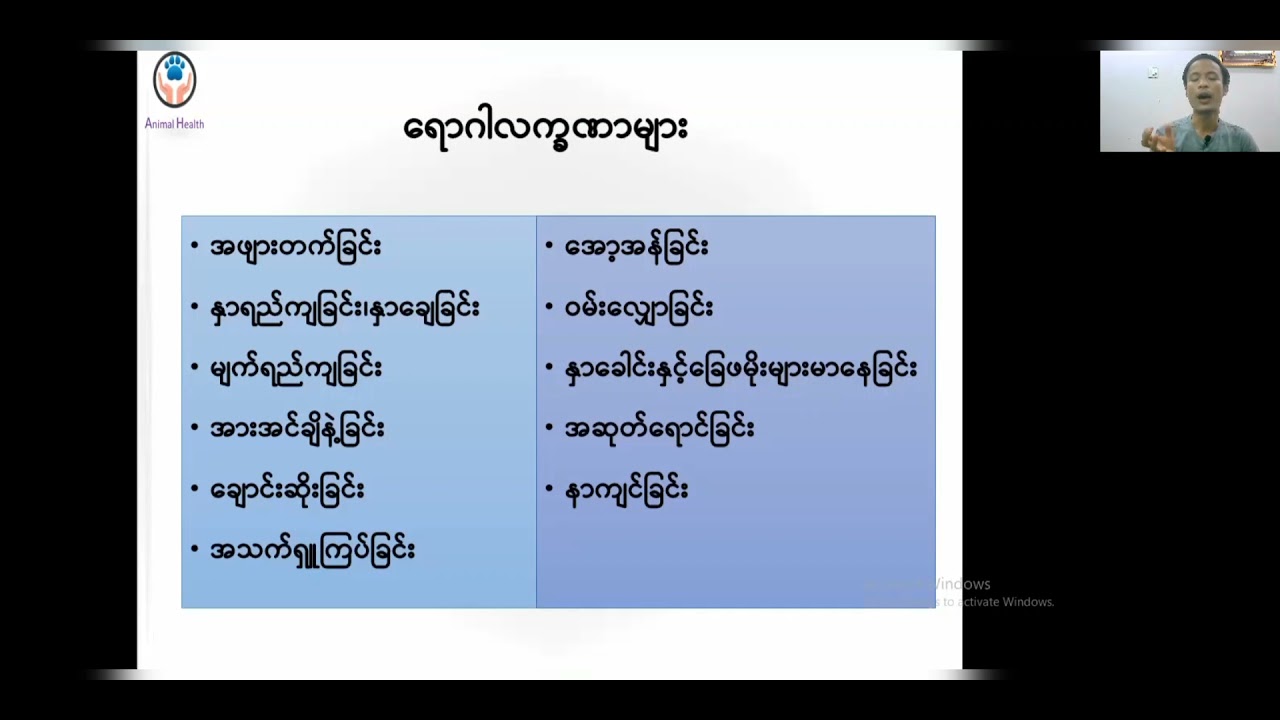ခွေးကျောက်ရောဂါ(Canine Distemper Disease)