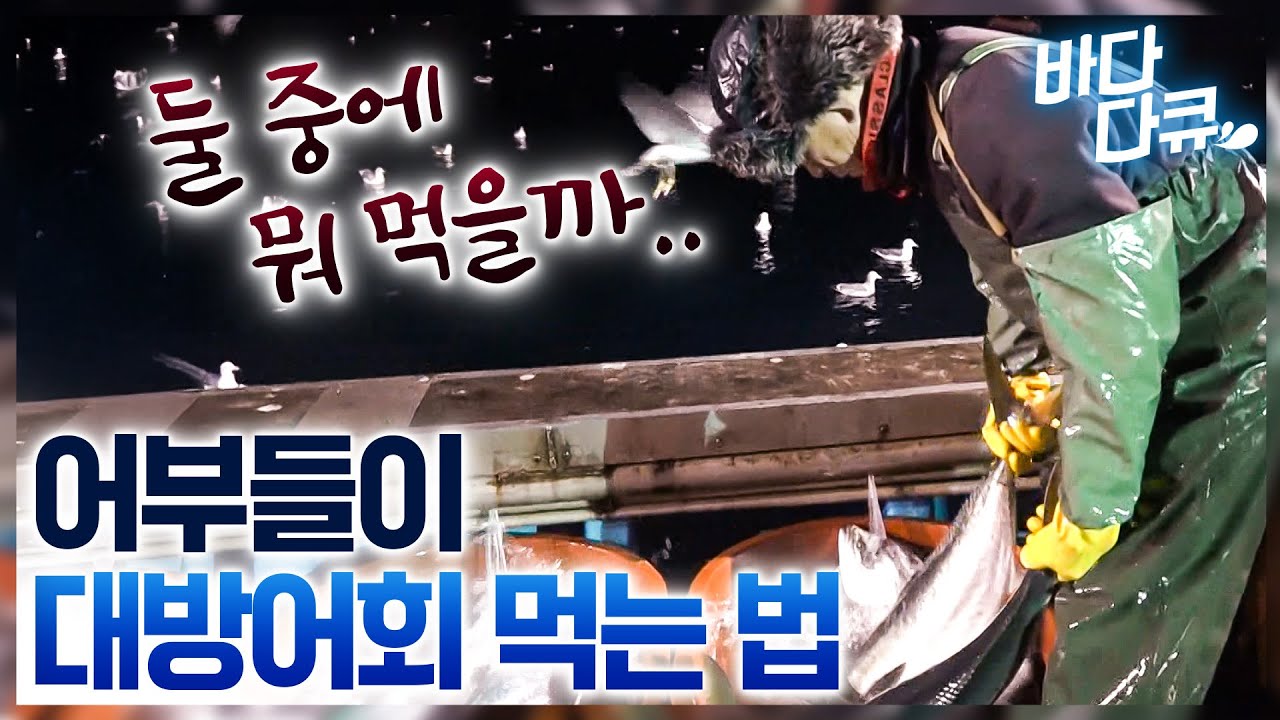 진짜 안 아끼는구나. 엄청나게 잡으시더니 대방어회를 쌓아 놓고 먹는 어부들 / 역대급 대방어잡이 만선! / #바다다큐