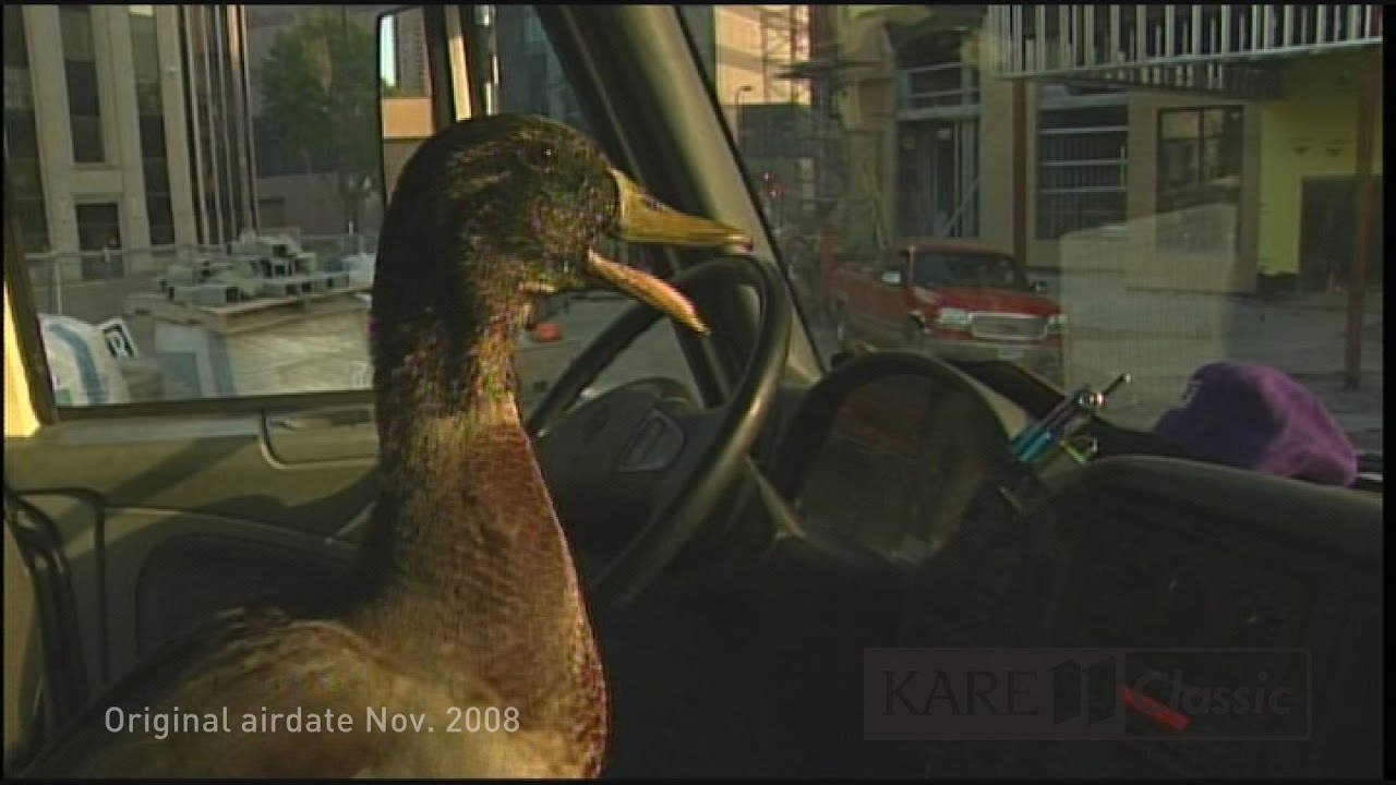 Land of 10,000 Stories:  Duck in a truck