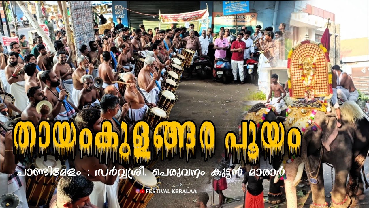 തായംകുളങ്ങര പൂയത്തിന് പെരുവനം കുട്ടേട്ടൻ്റെ പാണ്ടിമേള പെരുമ | pandimelam | festival keralaa ni