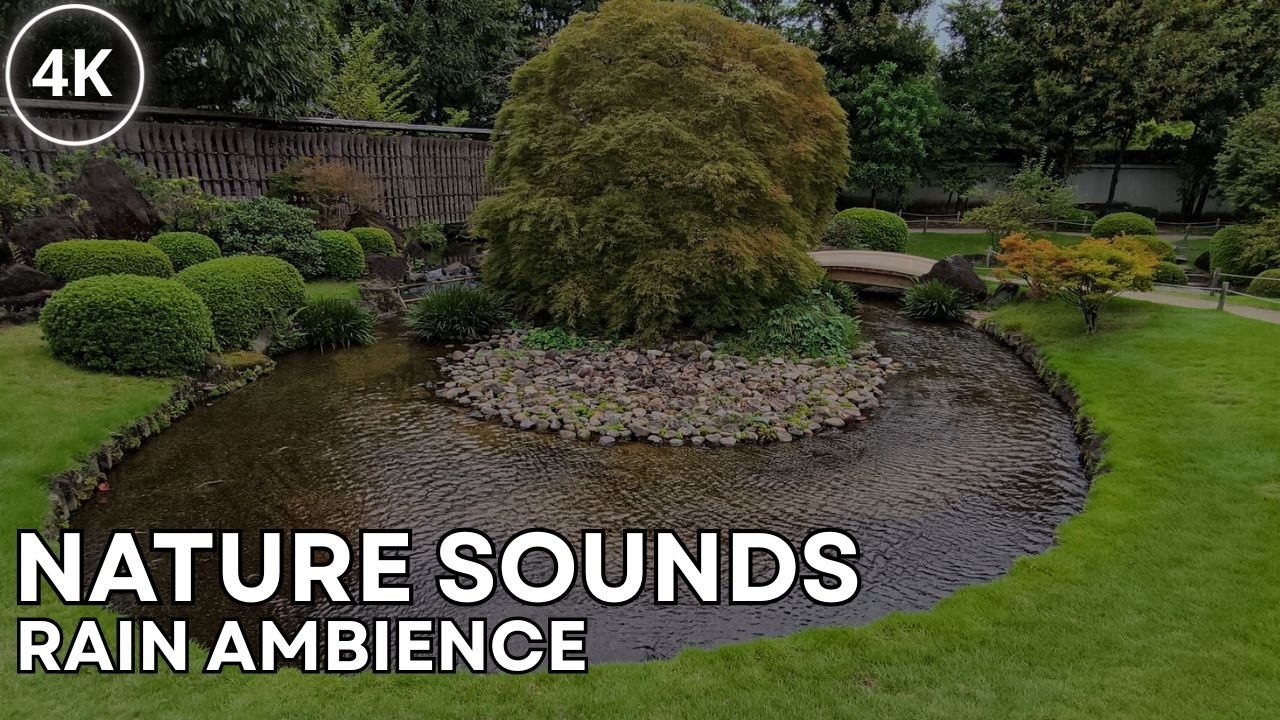 Gentle Rain Sounds in Japanese Garden | 1 Hour Relaxing Rain Ambience for Deep Sleep