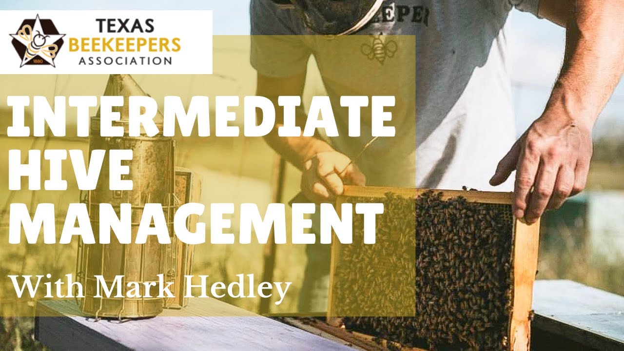 Intermediate Hive Management with Mark Hedley at the Texas Beekeepers Association Conference