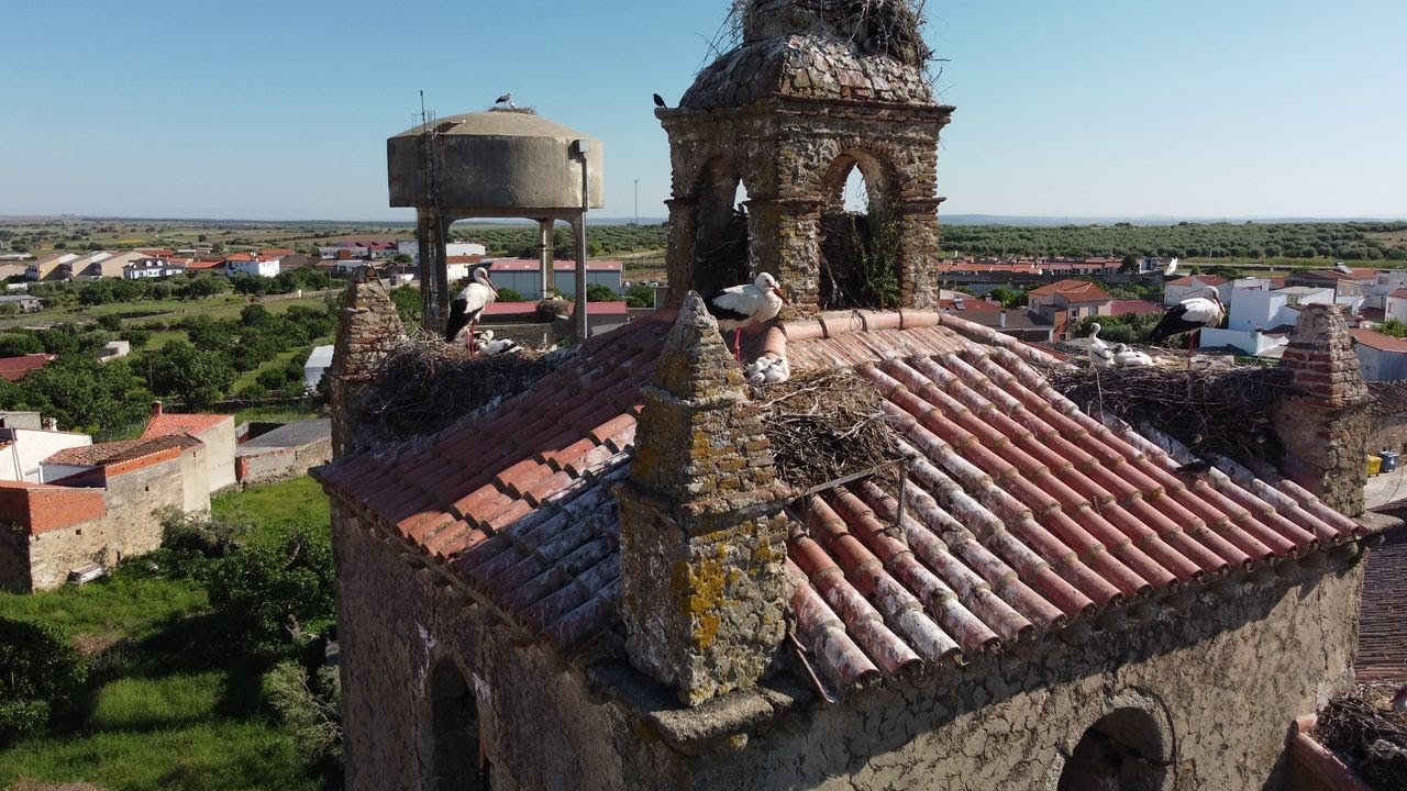 VALDEFUENTES