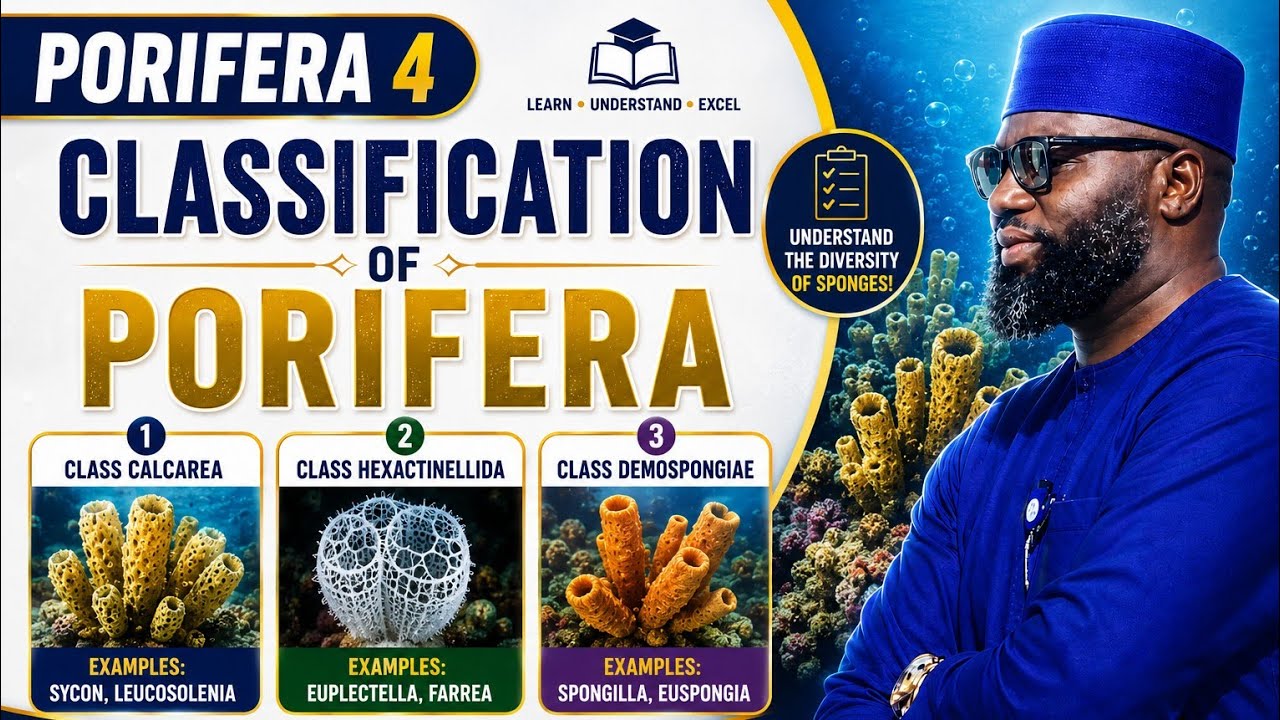  PORIPERA 4 | FULL JAMB, IJMBE, JUPEB AND 100 LEVEL TUTORIAL CLASS #GALADSCIENCEACADEMY