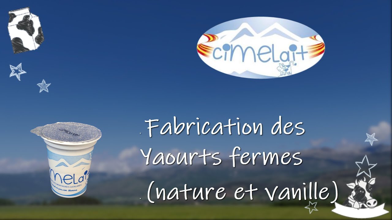Fabrication des Yaourts Fermes Cimelait 🐮