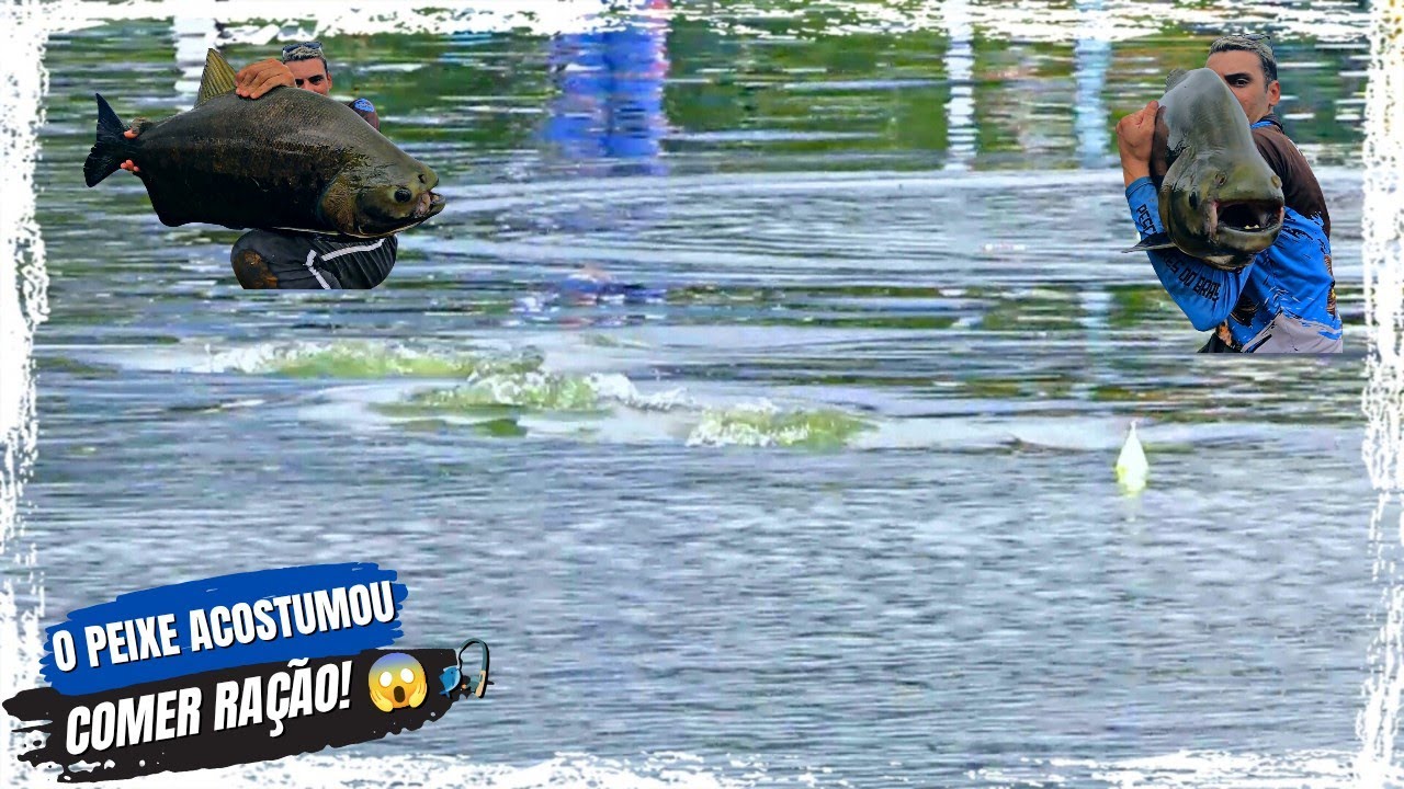 LAGO VIP MOENDO NA SUPERFÍCIE! Pescaria