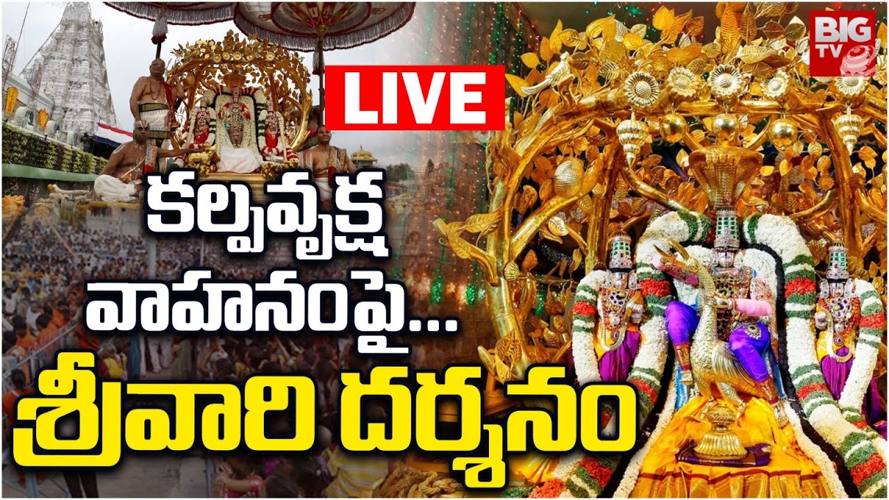 కల్పవృక్ష వాహనంపై శ్రీవారి దర్శనం LIVE | TTD Tirumala Brahmotsavam | Kalpavriksha Vahana Seva |BIGTV