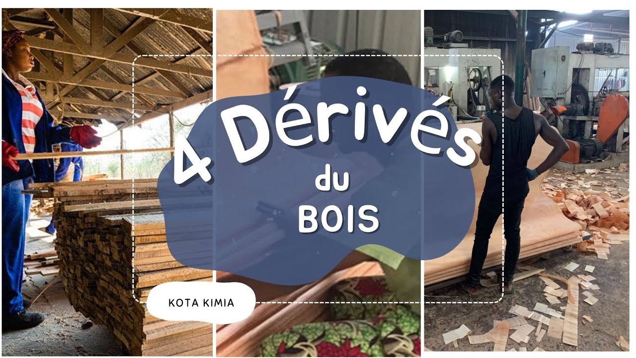 Quels sont les différents dérivés du bois ?
