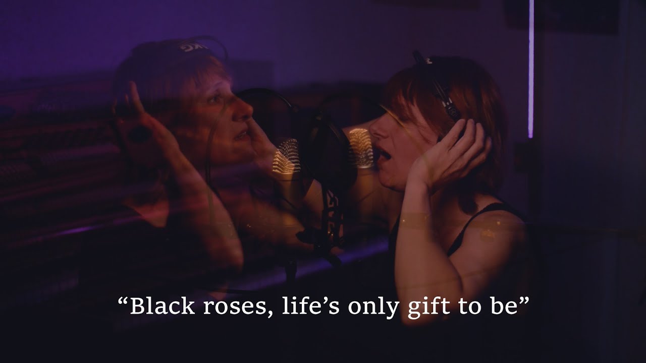 MEDIAVOLO Black Roses Home Session