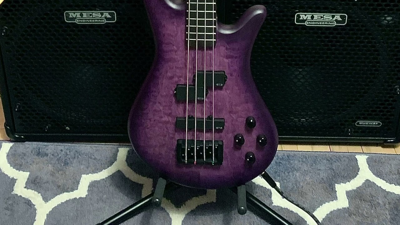 Darkglass Adam pedal with Spector Bass