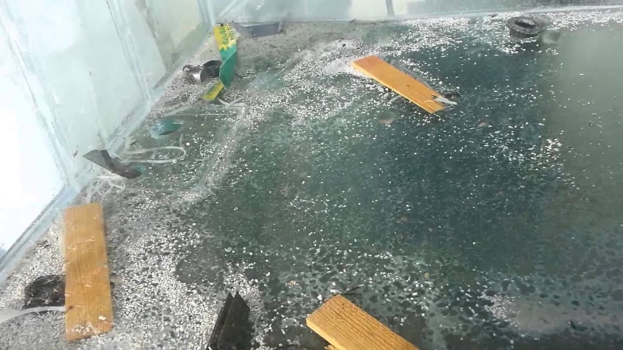 Mikes fish room new tank 250 Gallon rebuild project