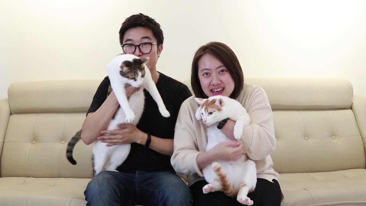 韓國男生怎麼認識台灣女生到結婚? (異國戀)