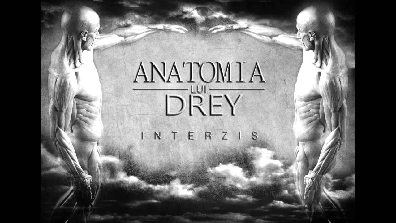 Drey - Interzis! (Feat.Cocoon Kills)