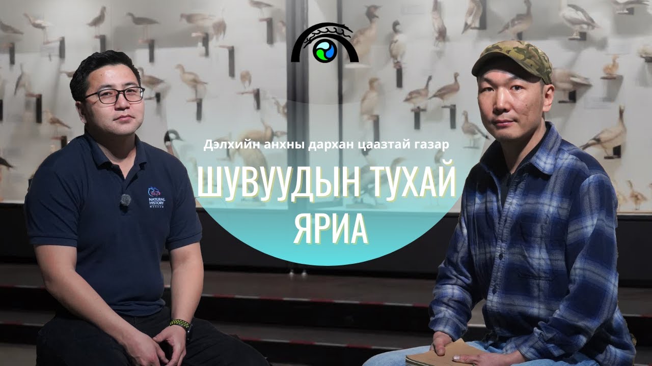Шувуудын тухай яриа | Хан Хэнтий Подкаст (Хураангуй хувилбар)