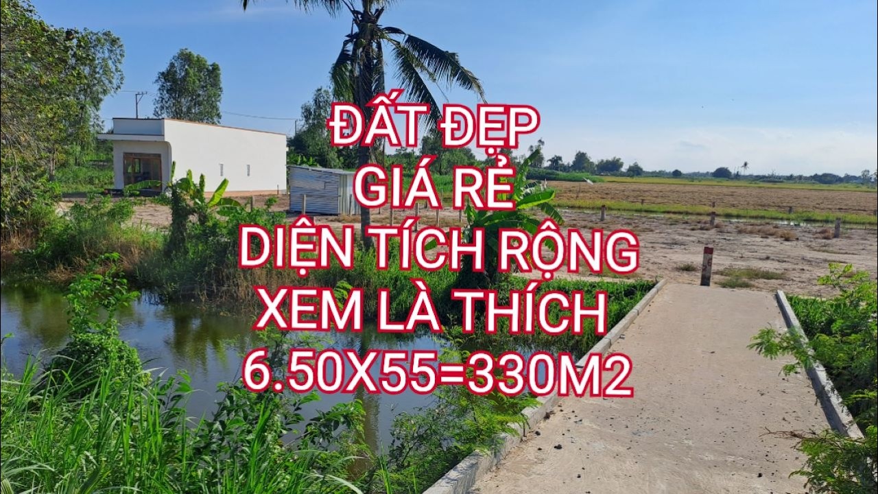 chủ nợ TÈ LE đành bán đất tiền giang giá rẻ TRẢ NỢ 290 triệu | Phương Lâm BDS