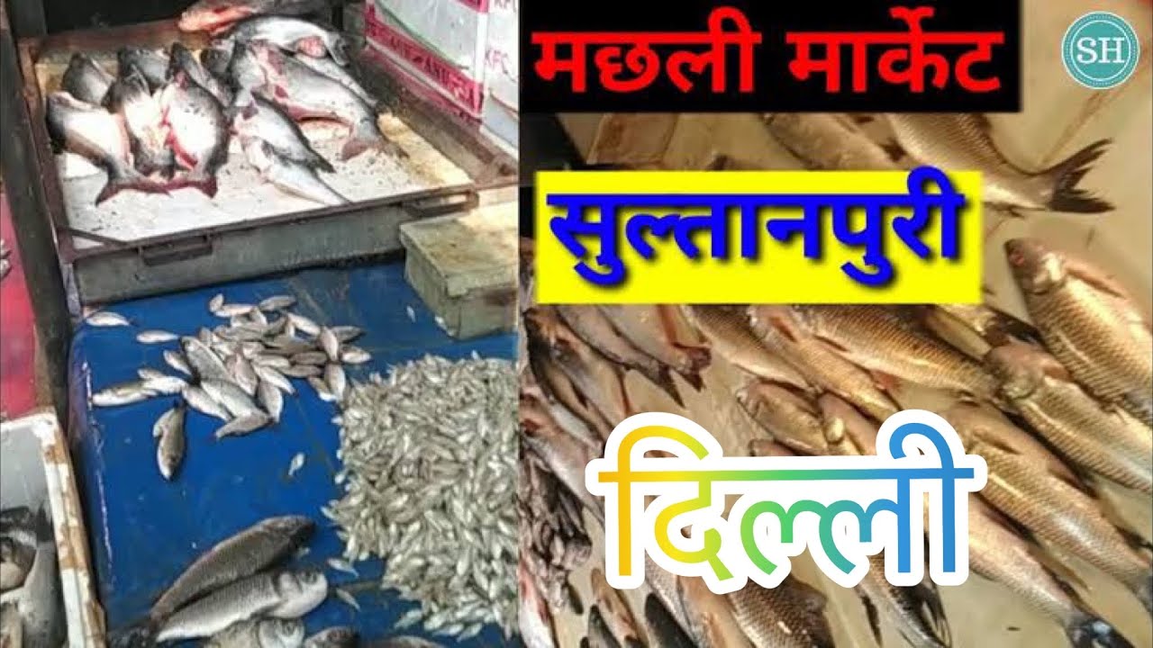 SULTAN PURI MACCHI BAZAR | FISH MARKET | DELHI | WHOLESALE MANDI MEAT MARKET