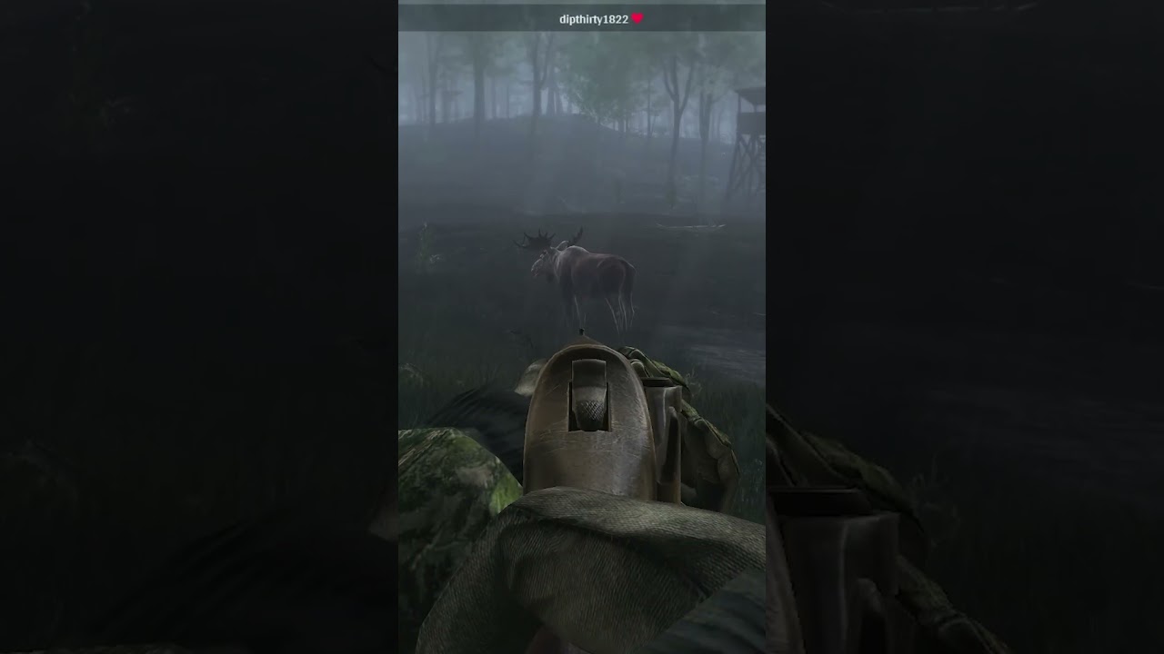 CHARGING MOOSE! #thehunterclassic #thehunter #hunting