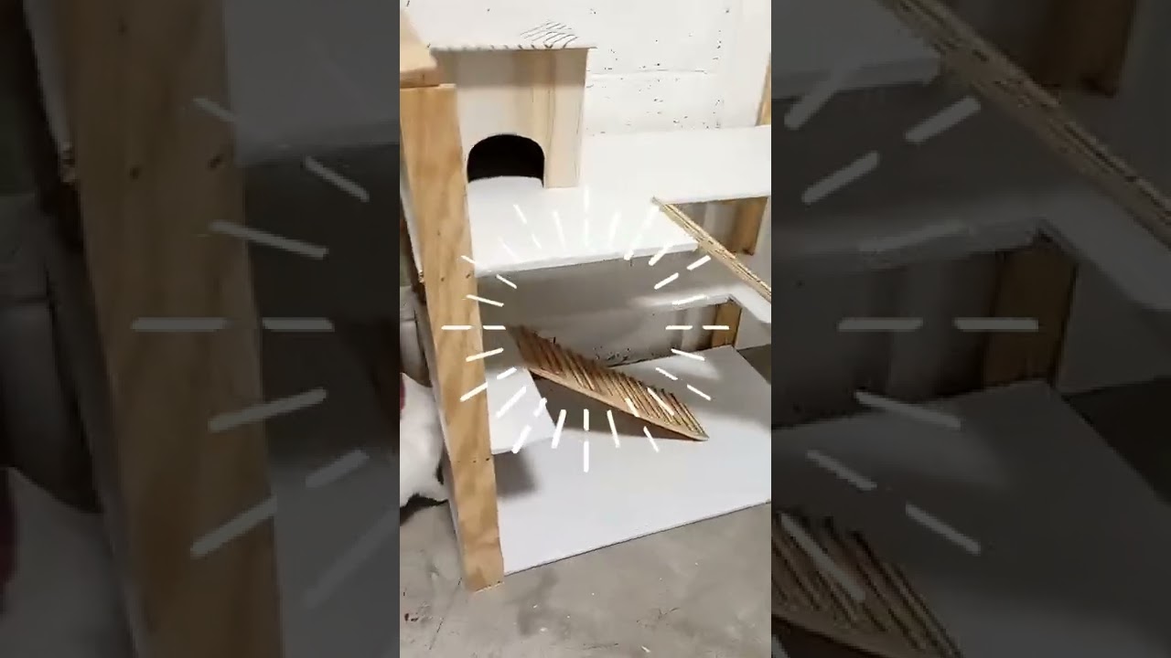 Casa para cuyos/Fácil y rápido