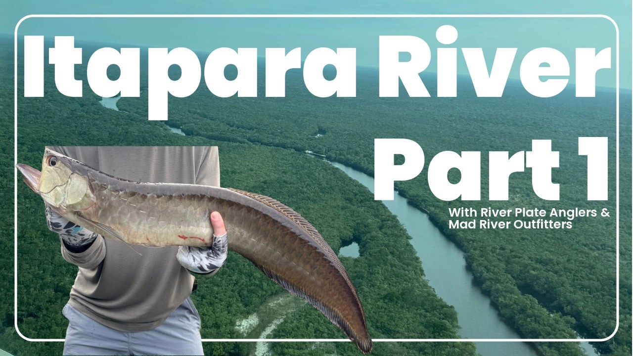 Peacock Bass Fishing Brazil Part 1