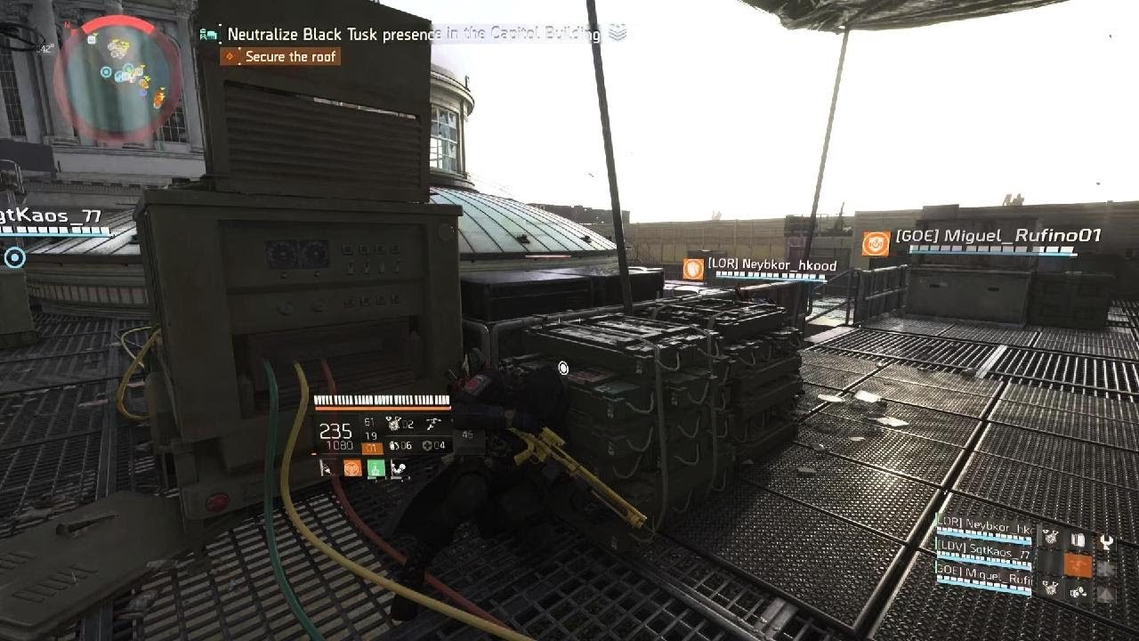 Division 2: Bugs and Concentrated Company 2026