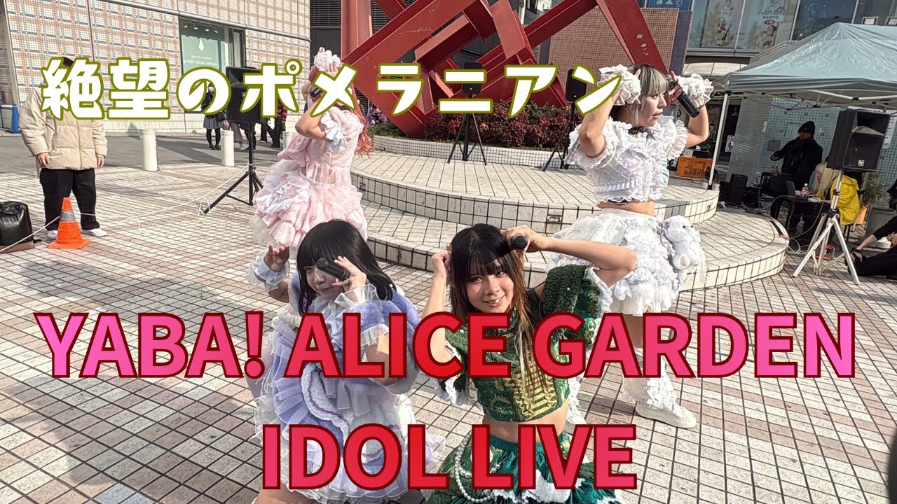 【絶望のポメラニアン】YABA! ALICE GARDEN IDOL LIVE 2025/12/21 アリスガーデン 【ぜつぽめちゃん】