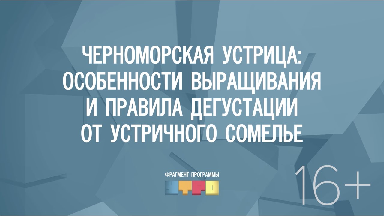 Черноморская устрица: особенности выращивания и правила дегустации от устричного сомелье