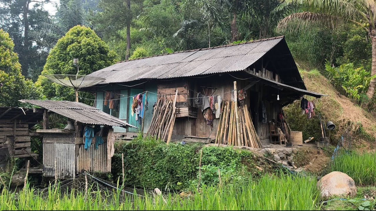 Luar Biasa, Nexad ‼️ Pasangan ini memilih membangun Rumah ditempat Yang Jauh dari tetangga