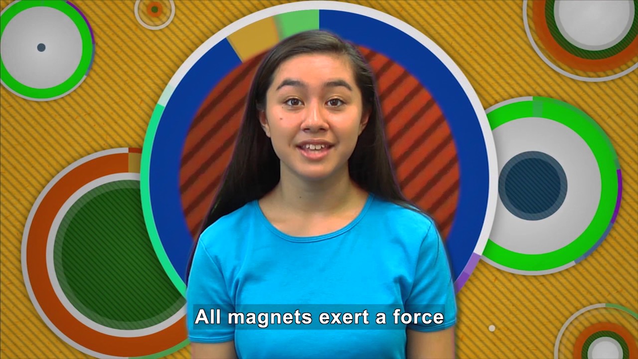 Real World Science: Magnetism (Accessible Preview)