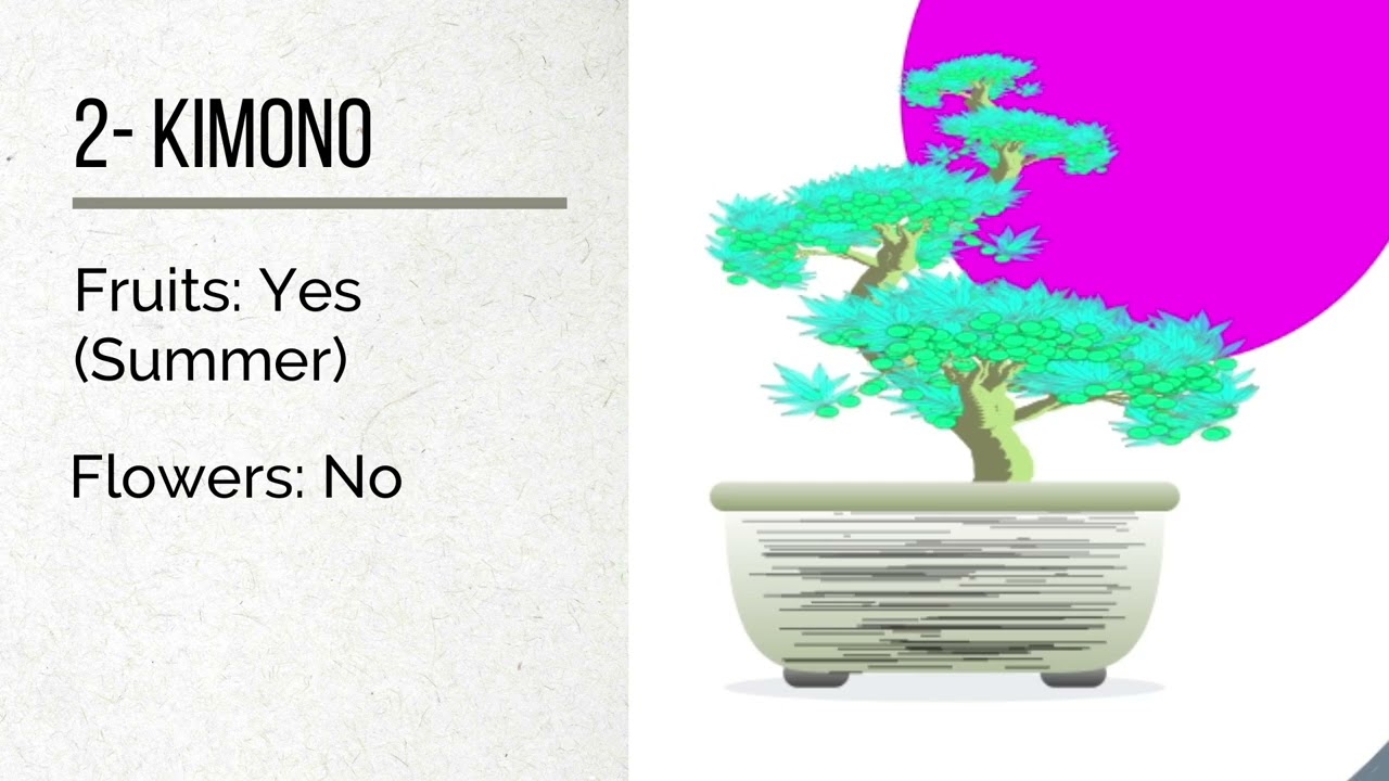 CardanoTrees - CT Bonsai Collection / Leaves Types + Fruits & Flowers