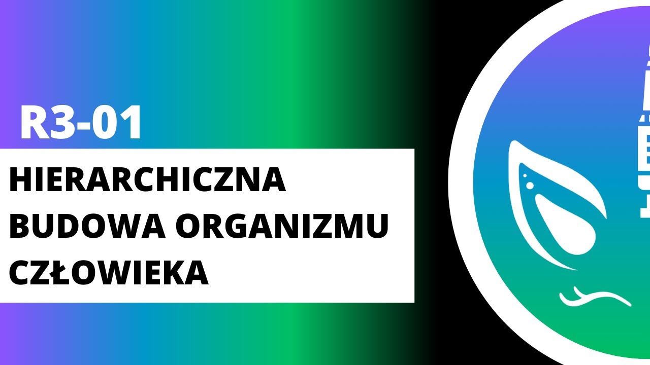 R3-01 Hierarchiczna budowa organizmu człowieka