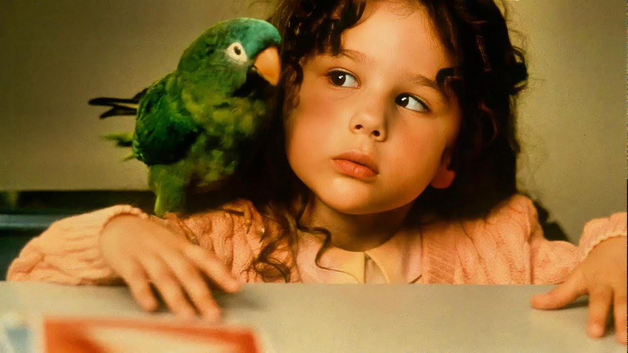 Everyone thought the girl was mute until this magical parrot taught her how to speak up.