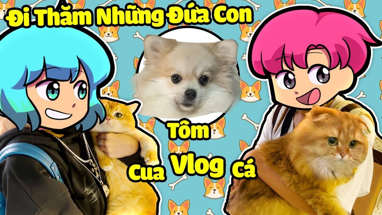 Hiha cùng Yummie đi thăm những ĐỨA CON đi xa nhà ( Hiha & Yummie Vlog ) 😍🐱🐶