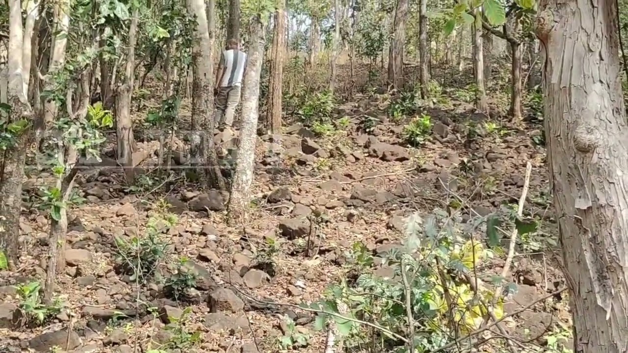 Adventure in Jungle.....।। 05.02.2026