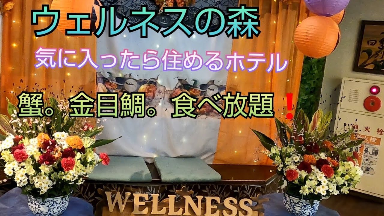 【ウェルネスの森   伊東】気に入ったら住めるホテル‼️  成功者への道❤️