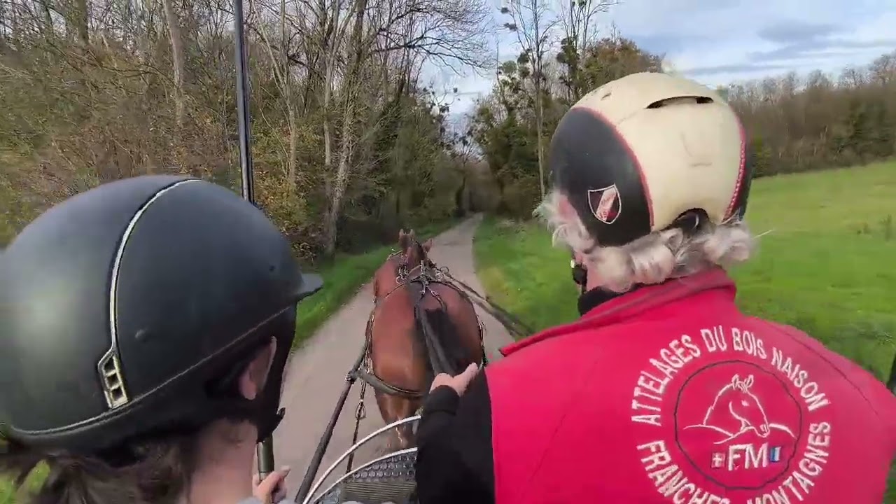 suite attelage tandem premiere fois