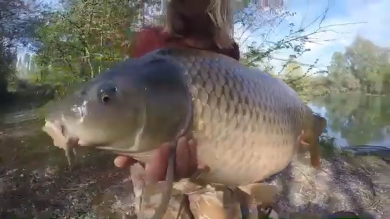 Bob Hodges From Les Quis, Carp Fishing France During 3rd Week Of Lockdown