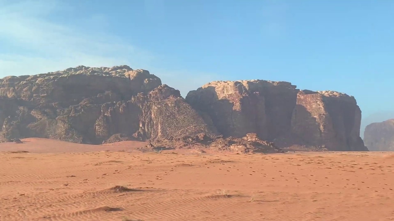 camels are nice
