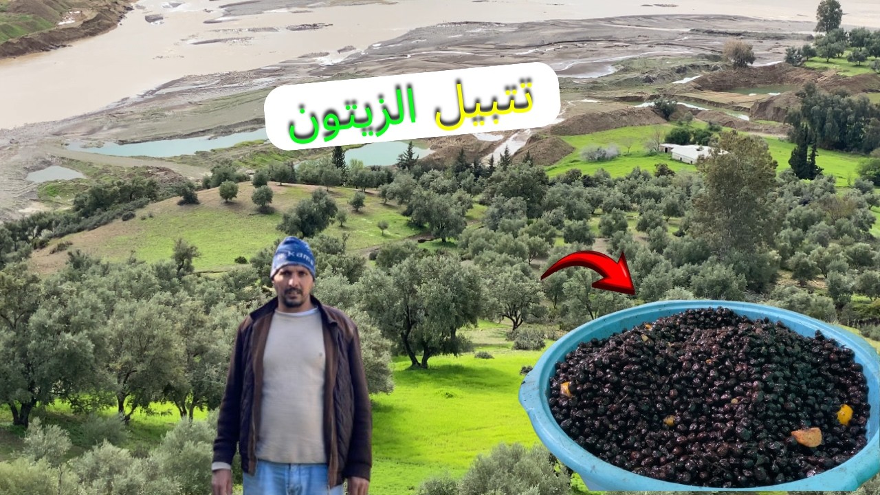 طريقة تتبيل الزيتون الأسود بالتوابل والزيت على الطريقة المغربية
