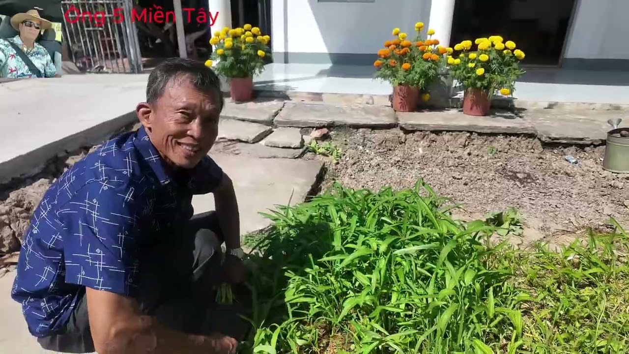 Mùng 4 tết.Đi đầm dơi.Cà Mau.Thăm bạn Đảm.