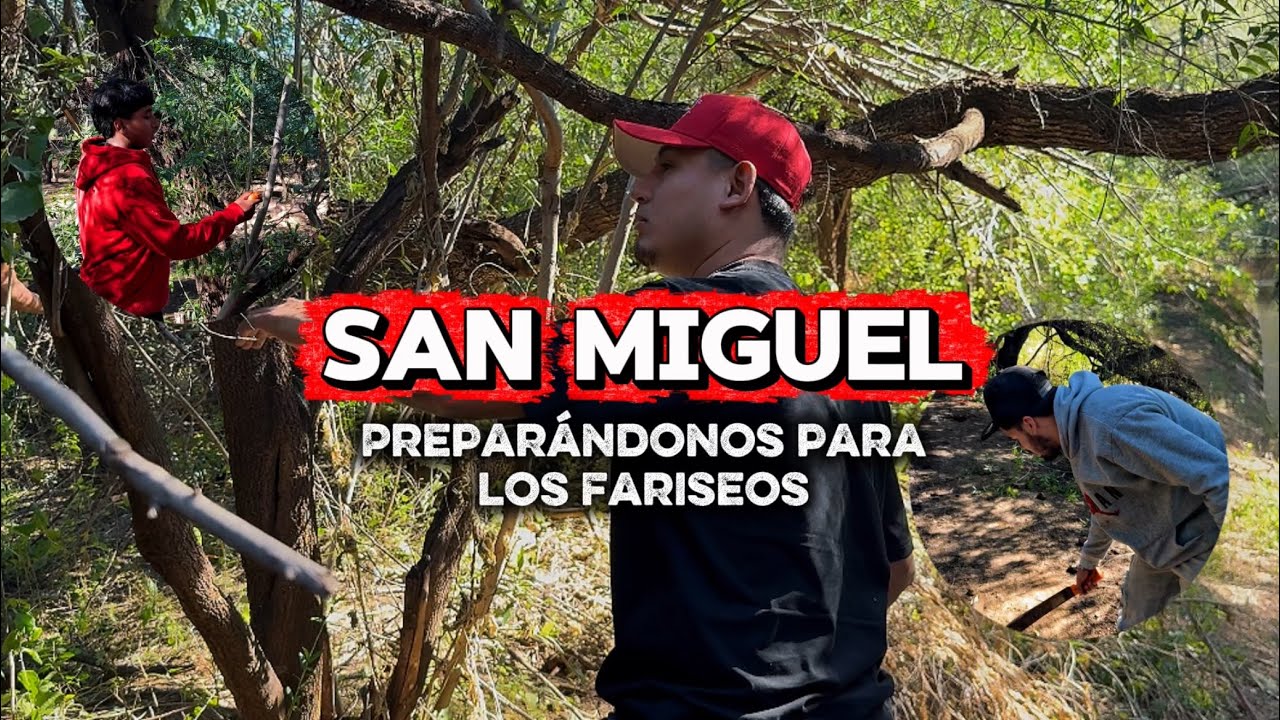 CORTAMOS LOS PALOS PARA LOS FARISEOS || LOS CHICUELOS 