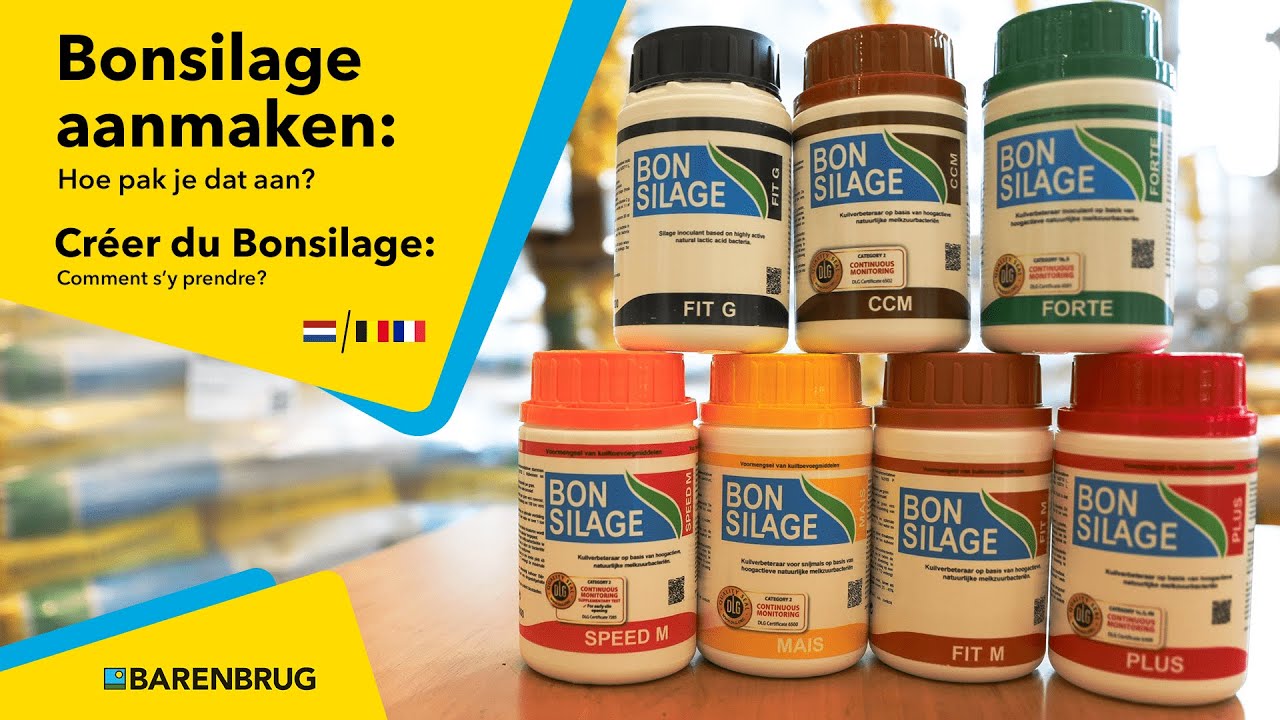 Bonsilage aanmaken: Hoe pak je dat aan?
