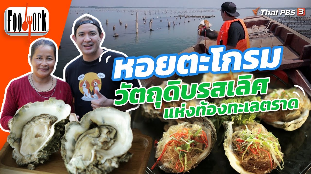 หอยตะโกรม วัตถุดิบรสเลิศแห่งท้องทะเลตราด : Foodwork
