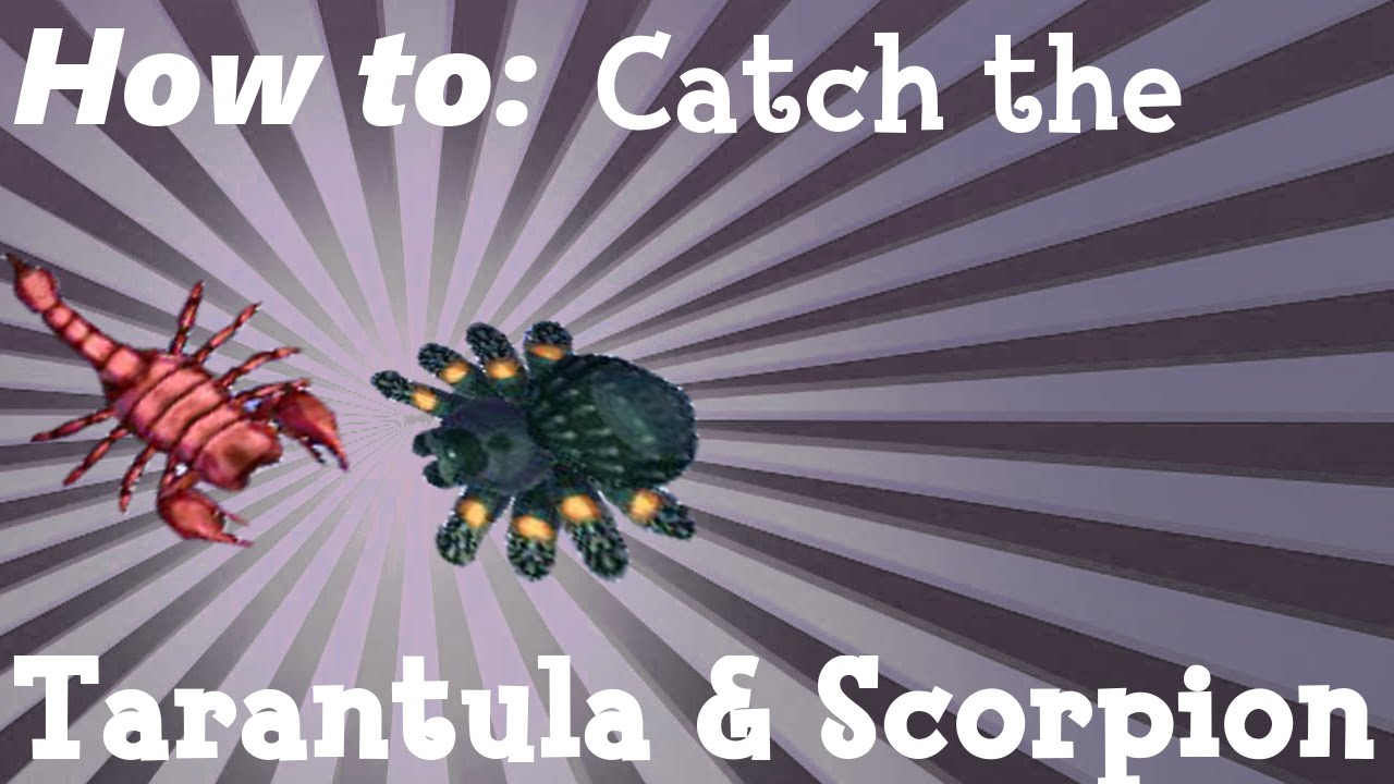 How To: Catch the Tarantula & Scorpion (ACNL)