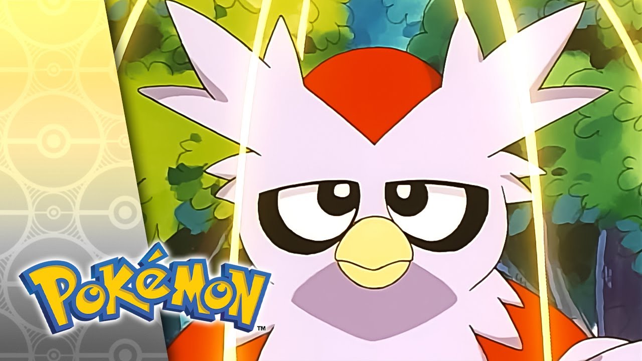 Dues and Don'ts | POKÉMON FULL EPISODE 22 | Season 5