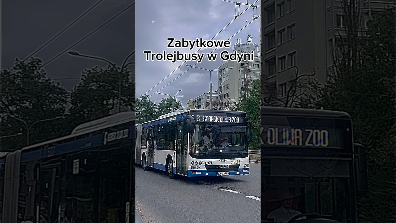 Zabytkowe Trolejbusy w Gdyni