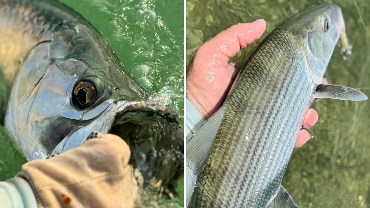 Personal Best Day of Flats Fishing! (Sightcasting Tarpon & Bonefish)