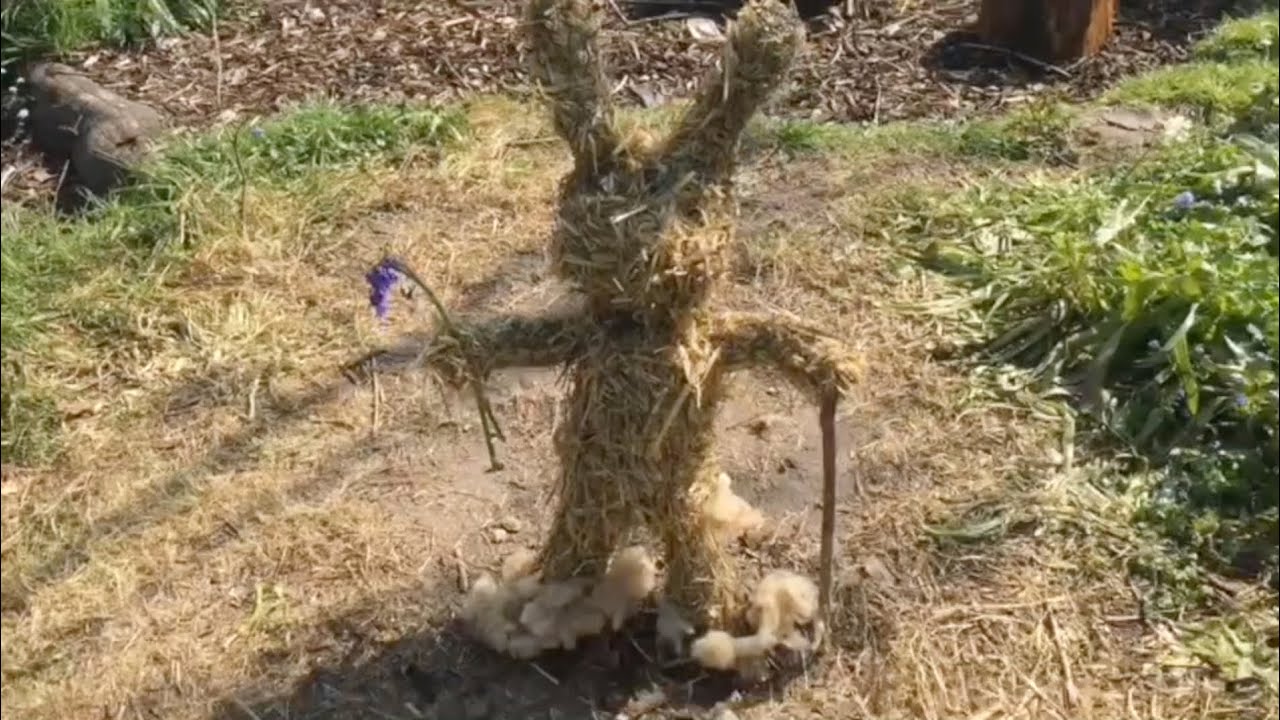 A Miniature Beltain Festival at Butser Ancient Farm