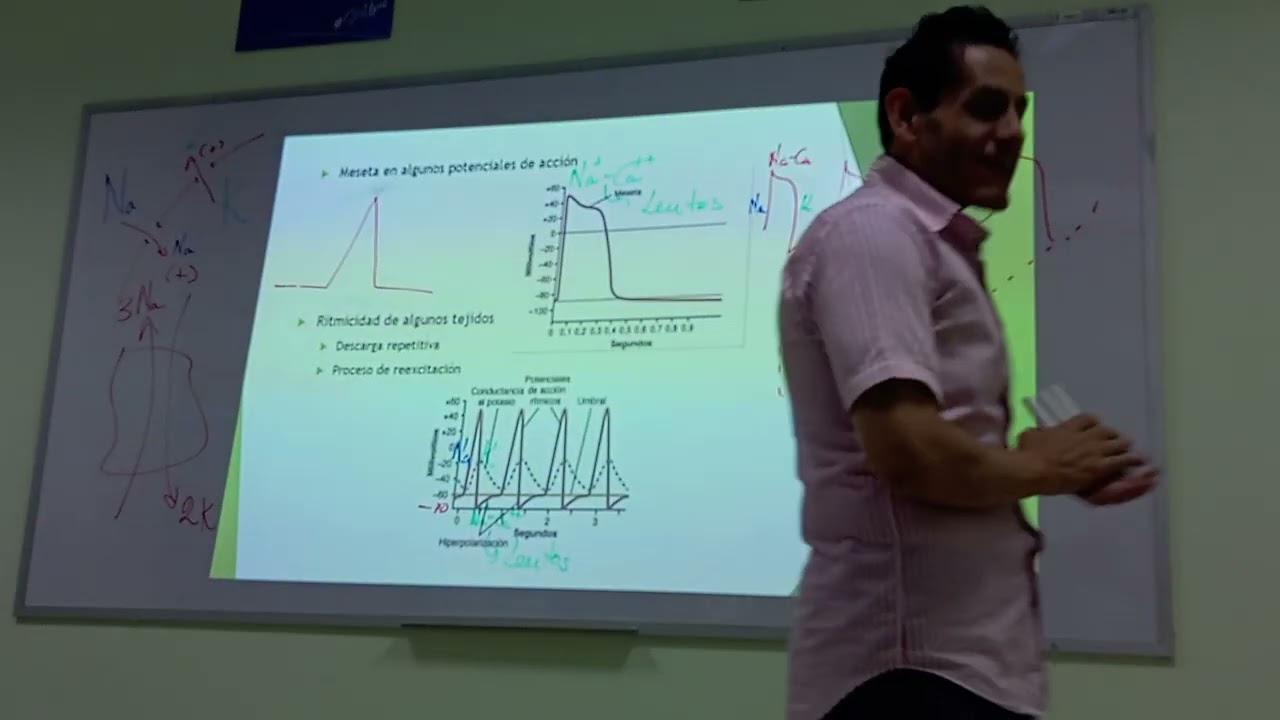 Fisiología I - Potencial de membrana y potencial de acción Part 2