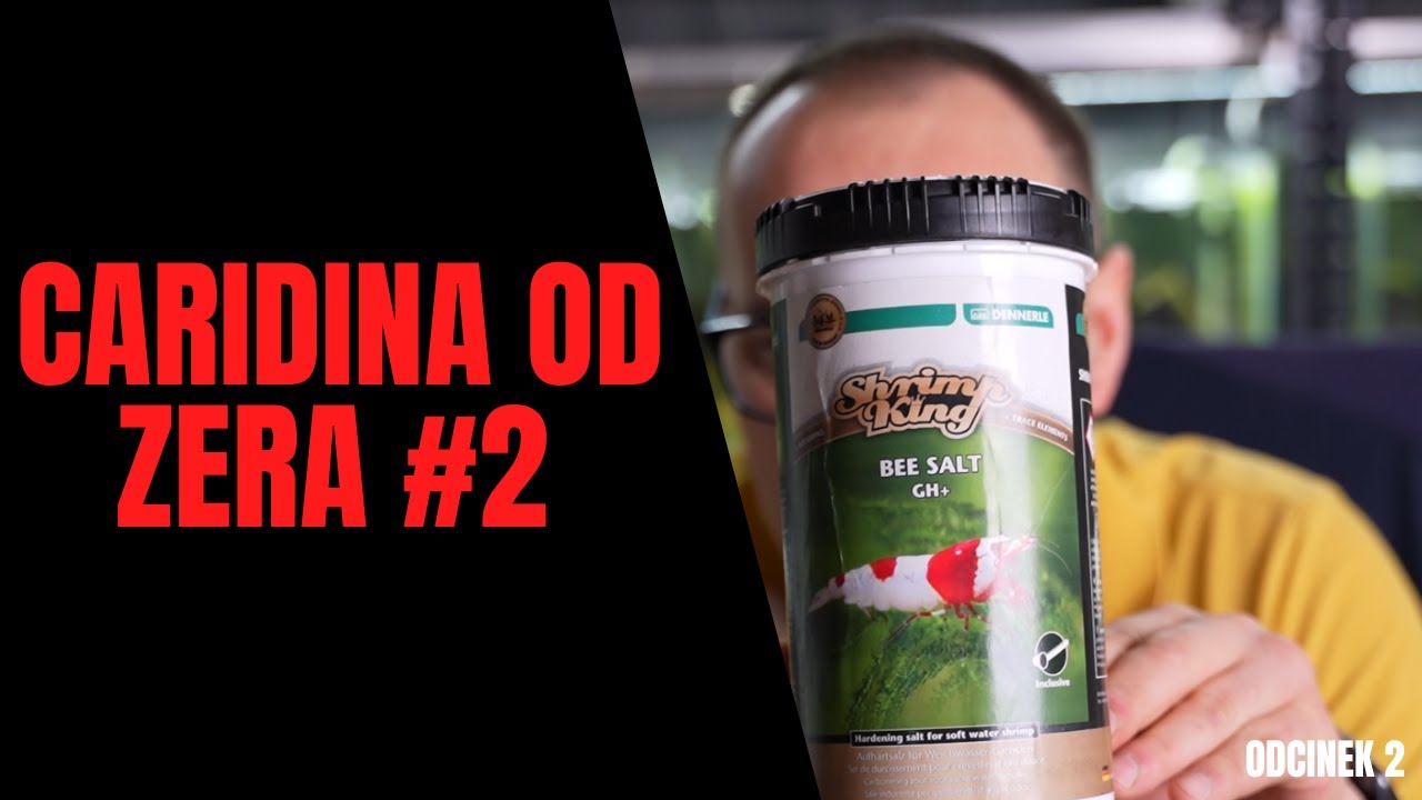 Caridina od Zera  –Odcinek 2: Mineralizacja Wody: Klucz do Sukcesu