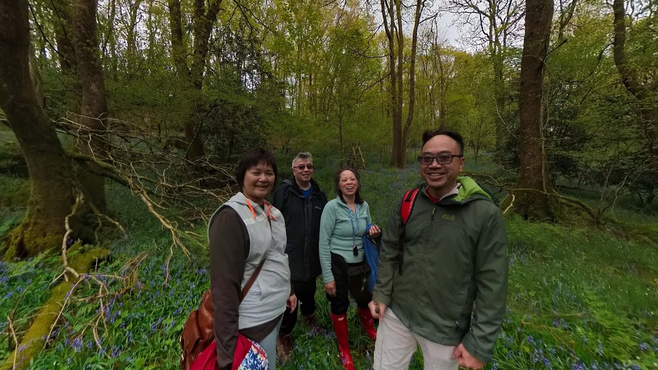 An annual visit to Dorothy Farrer's Spring Wood